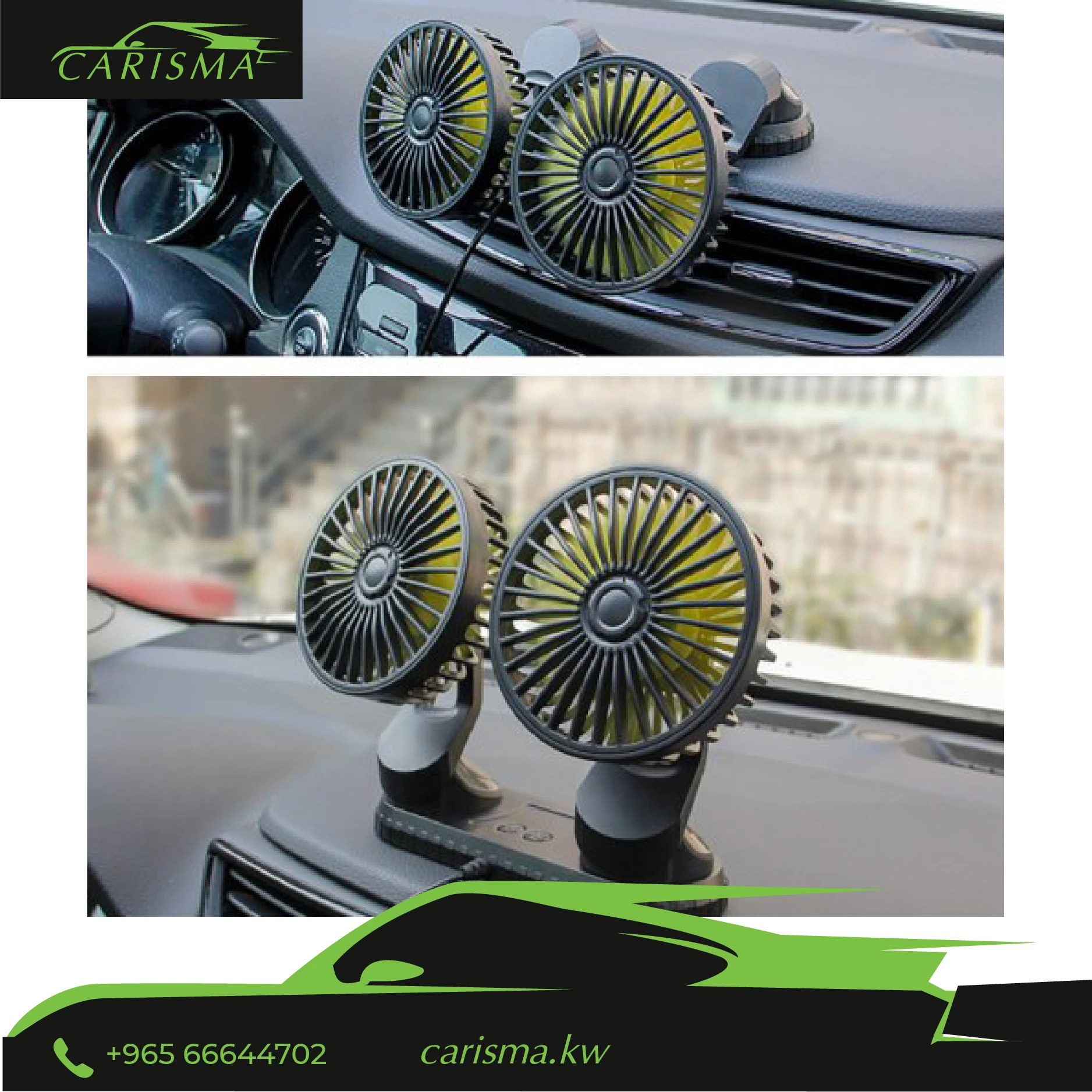 Car Double Headed Fan