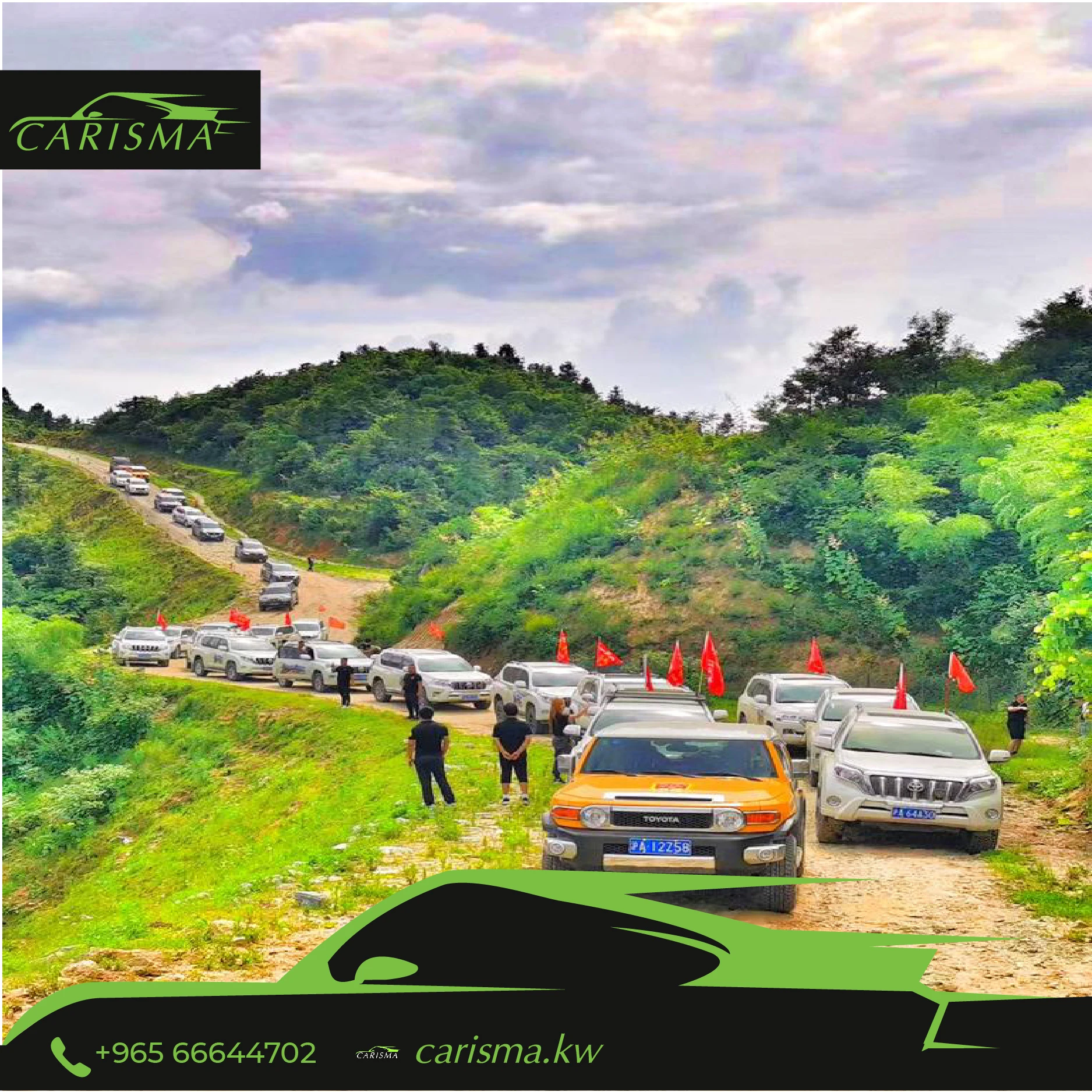 Car Antenna Flag Pole