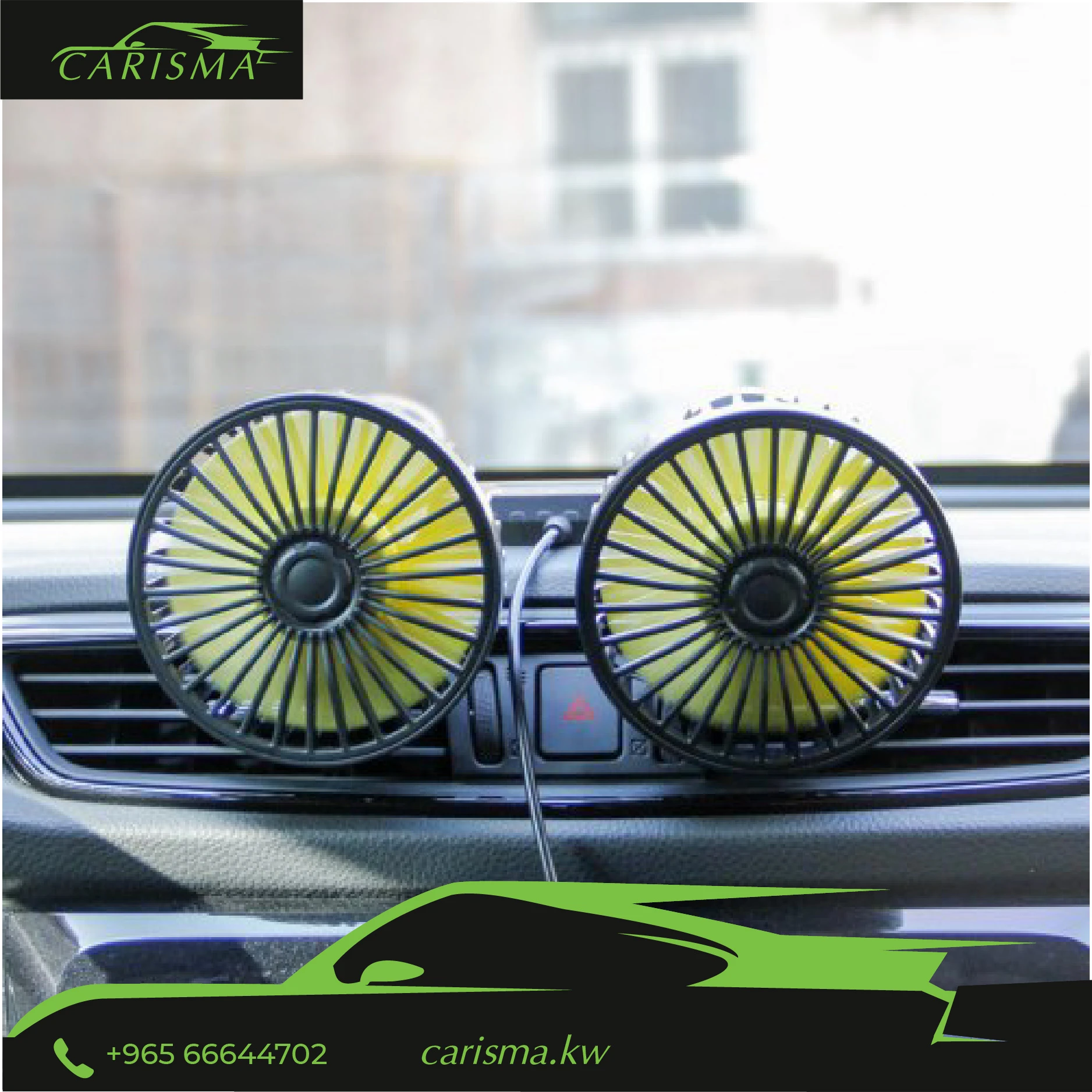 Car Double Headed Fan