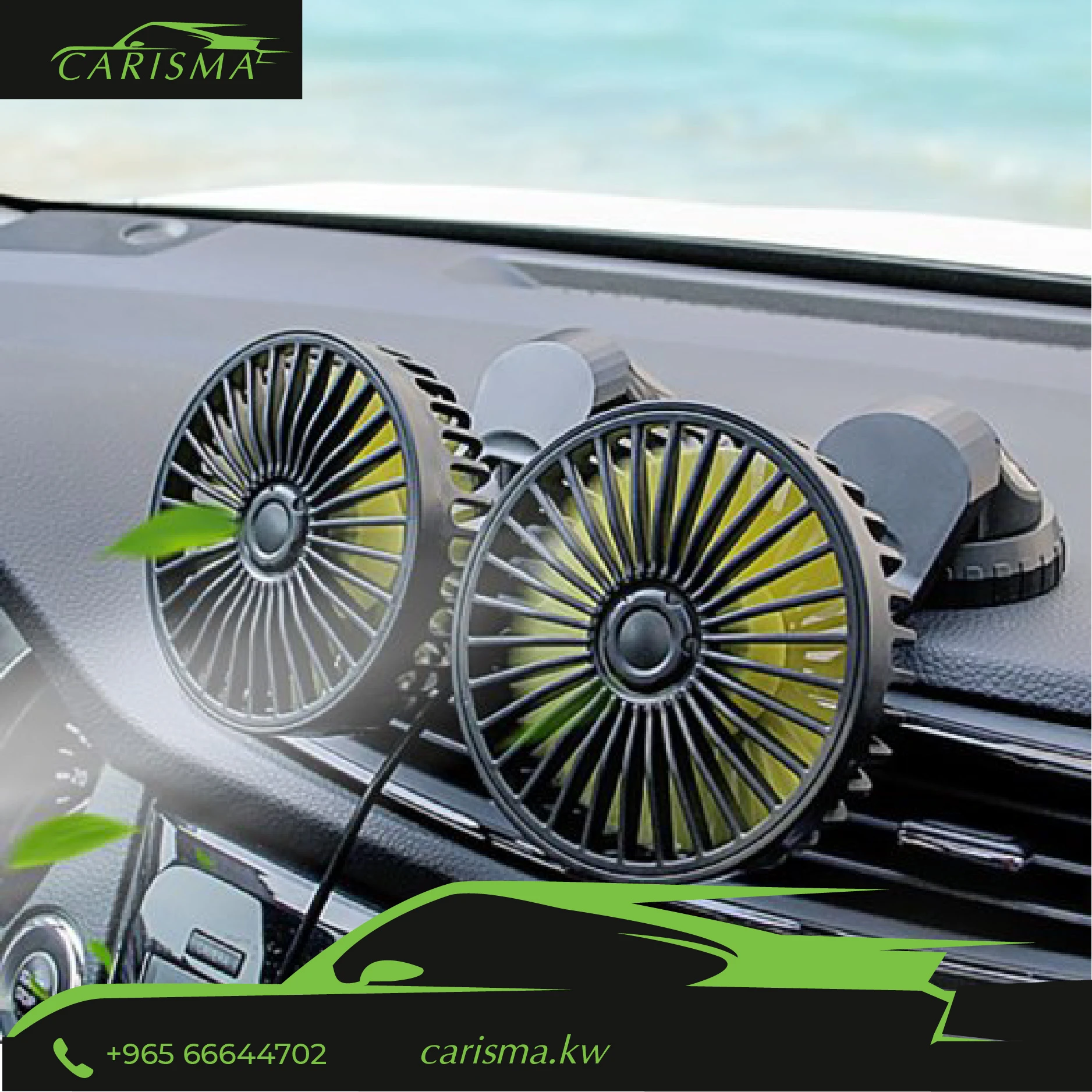 Car Double Headed Fan