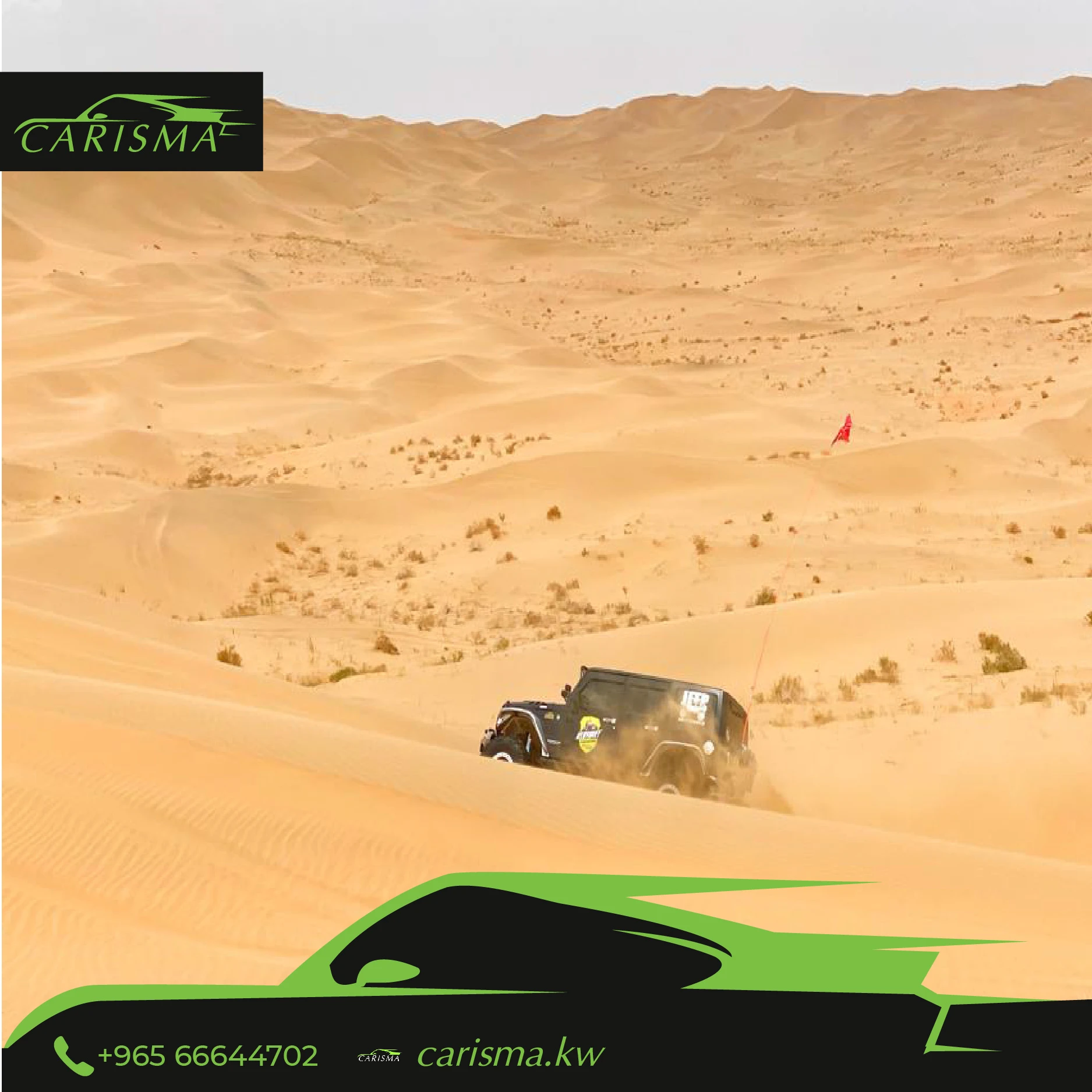 Car Antenna Flag Pole