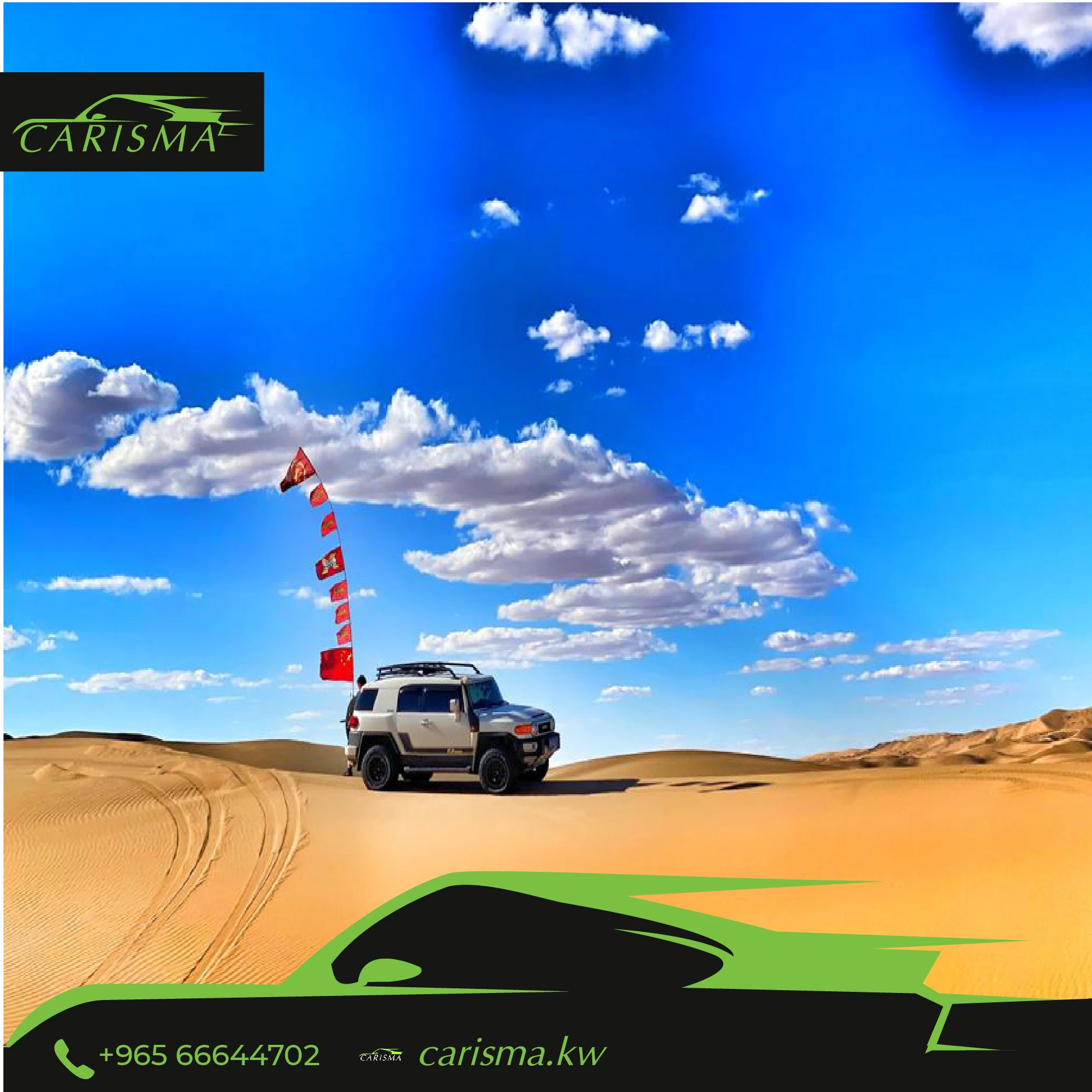 Car Antenna Flag Pole