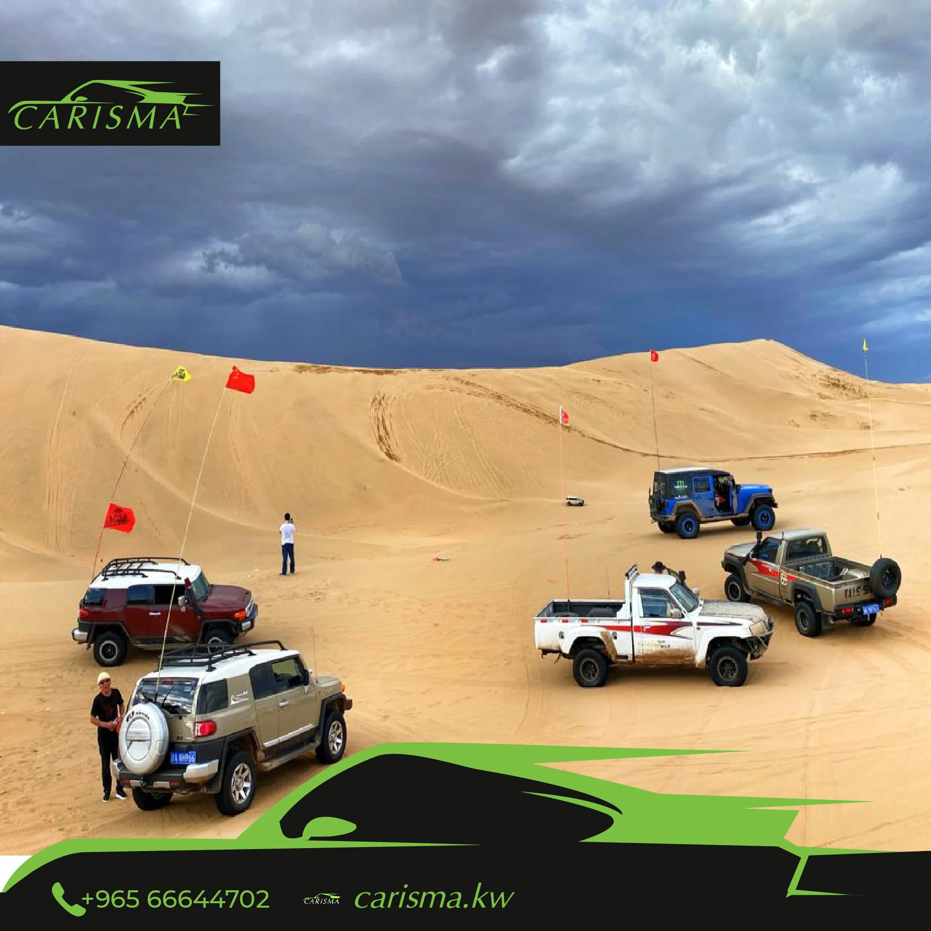 Car Antenna Flag Pole