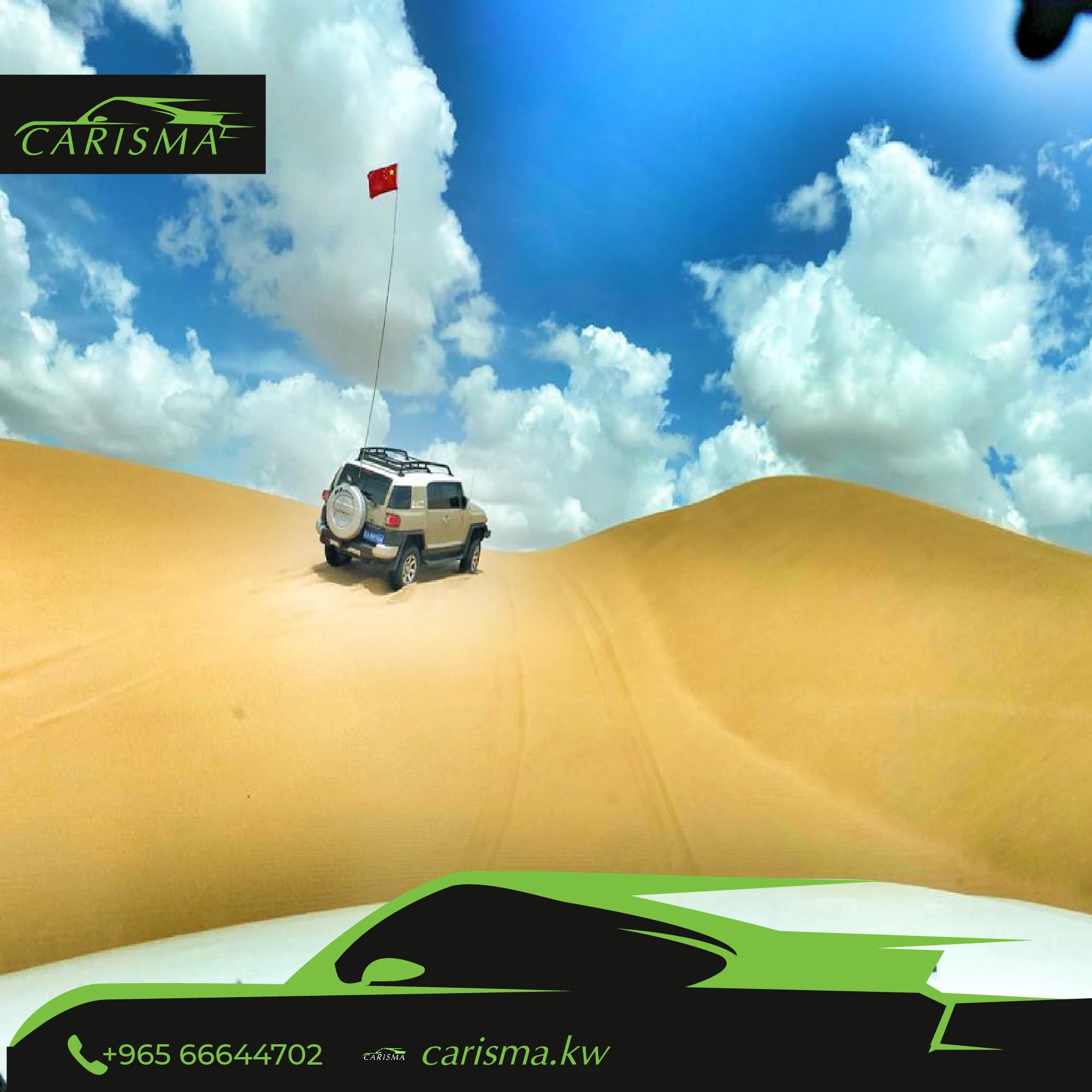 Car Antenna Flag Pole