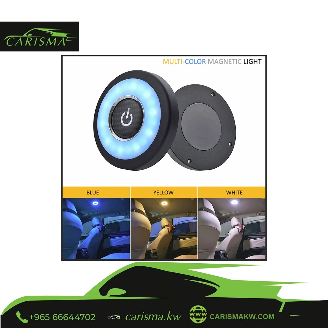 Multicolor LED Flood Light